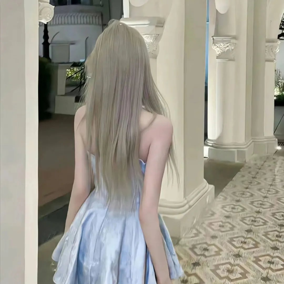与鲨同泳